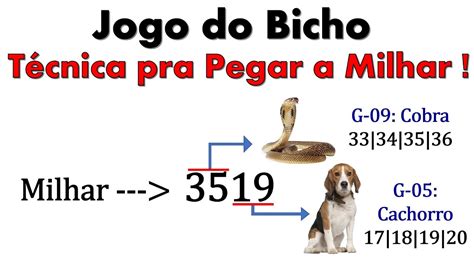 milhar cobra jogo do bicho - centenas da cobra